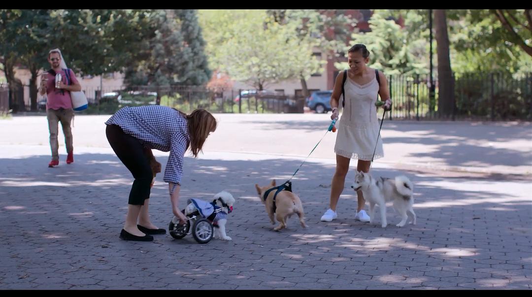 《爱犬情深第一季》剧照第24张图片