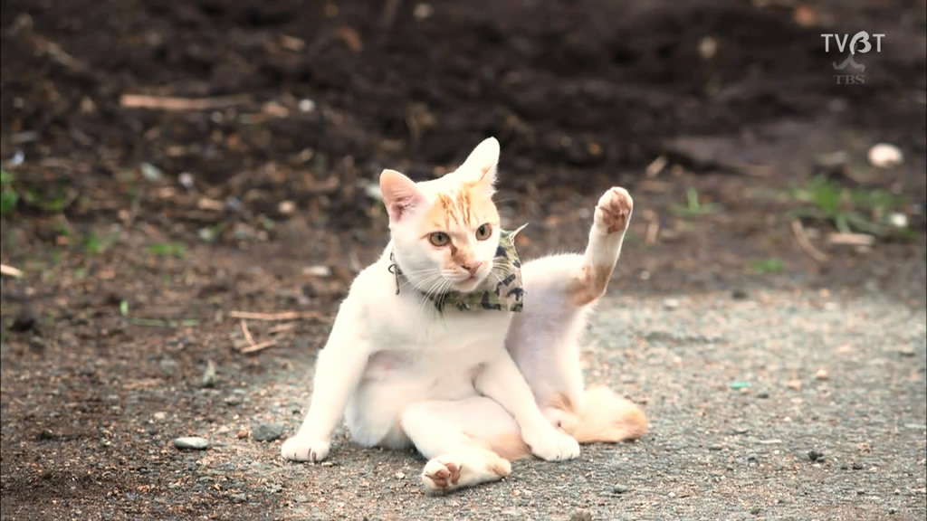 《中学圣日记》剧照第54张图片