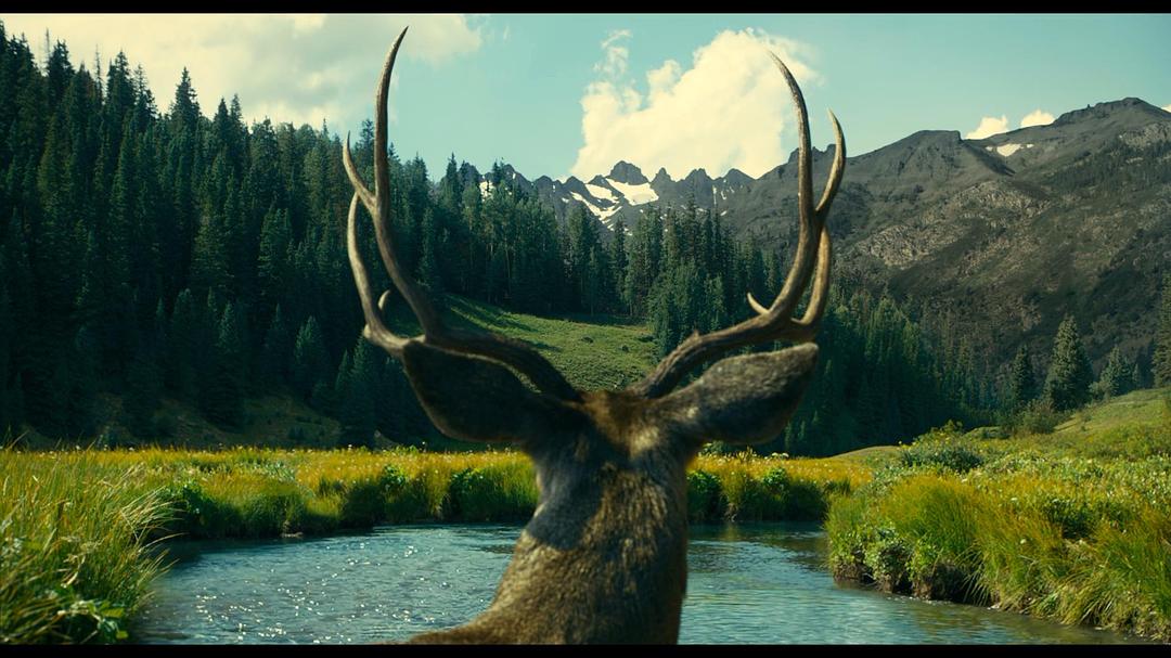 《巴斯特·斯克鲁格斯的歌谣》海报第38张图片