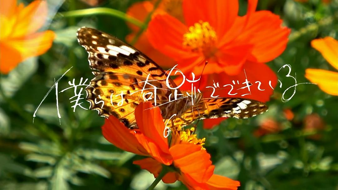 片头最后一幕-第六集