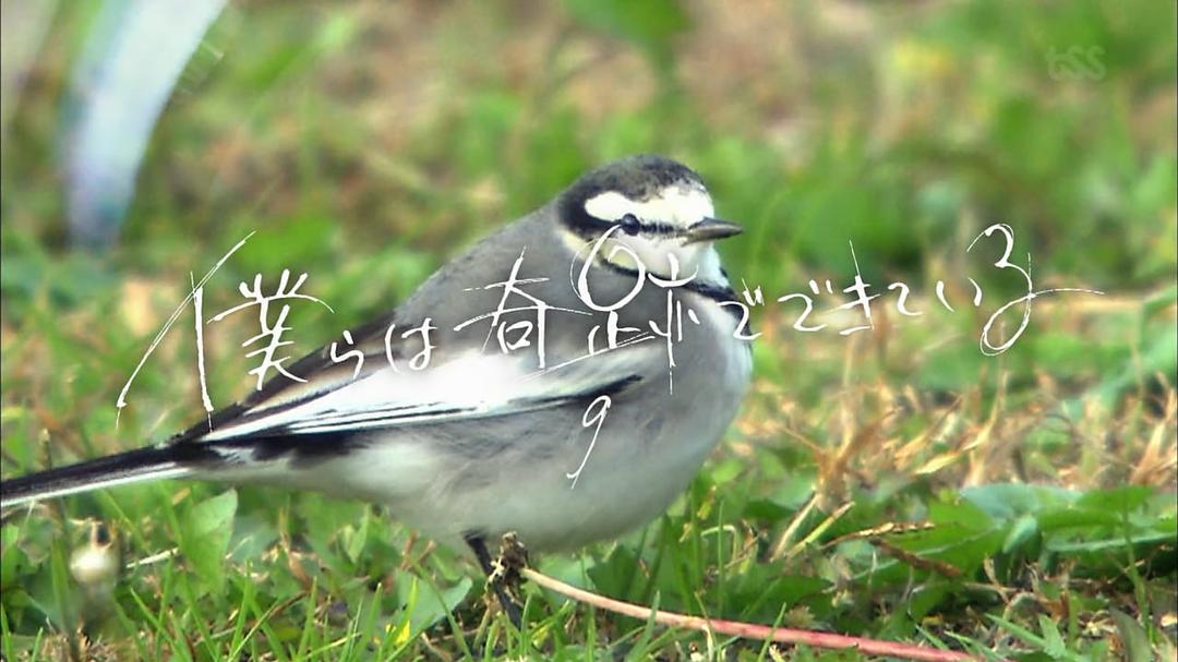 片头最后一幕-第九集