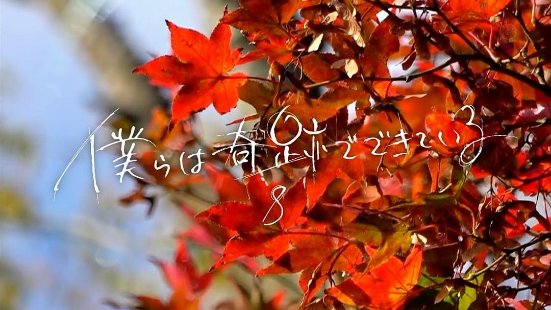 《我们由奇迹构成》海报第52张图片