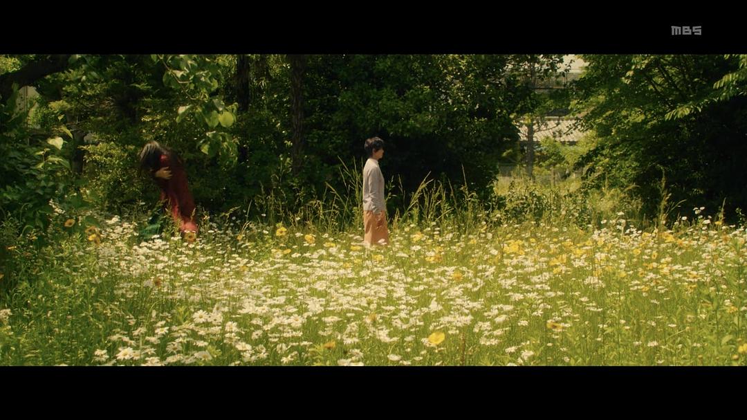 《洗屋》剧照第34张图片