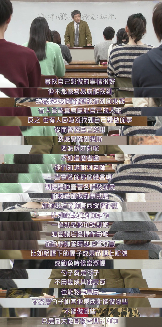 《我们由奇迹构成》海报第39张图片