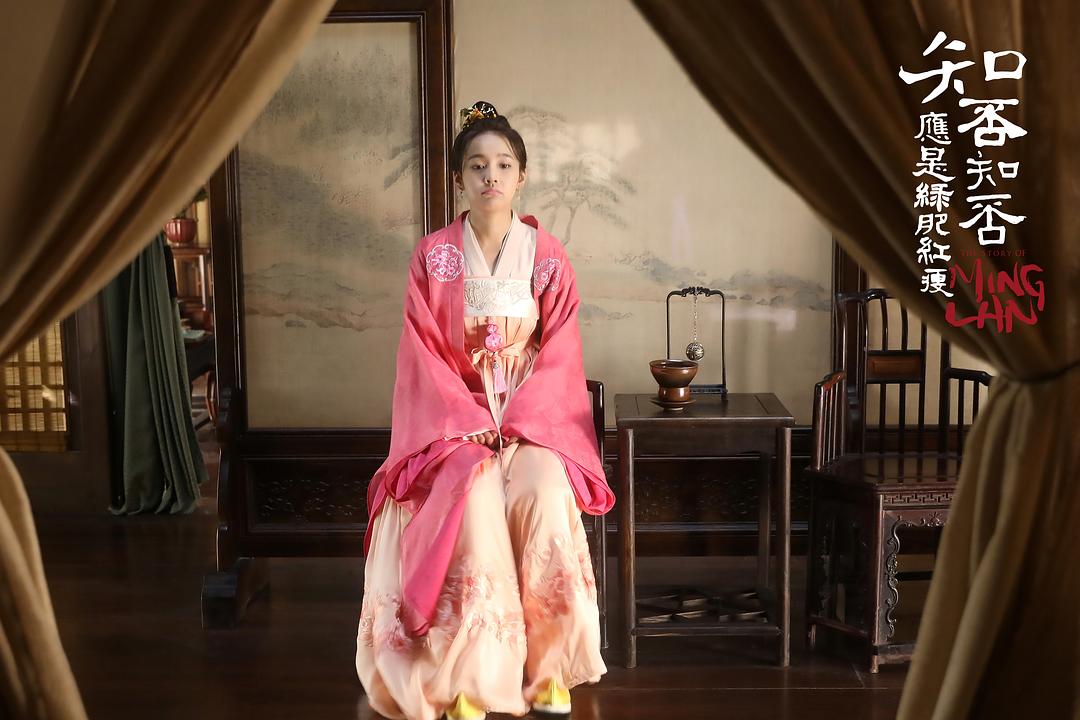 《知否知否应是绿肥红瘦》剧照第16张图片