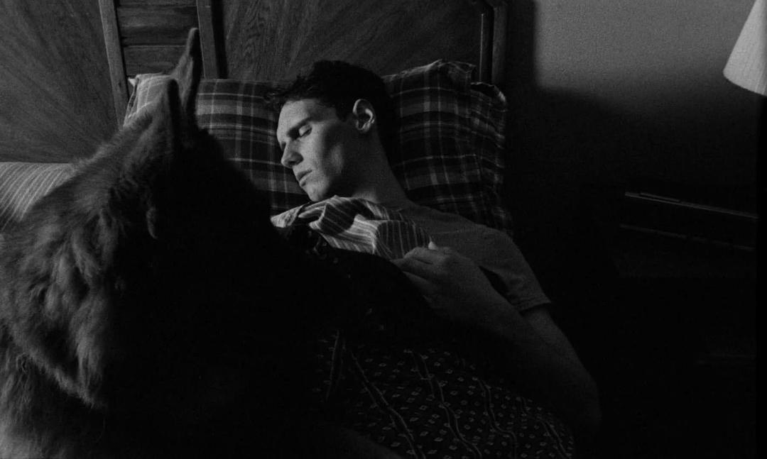 《1985》剧照第46张图片