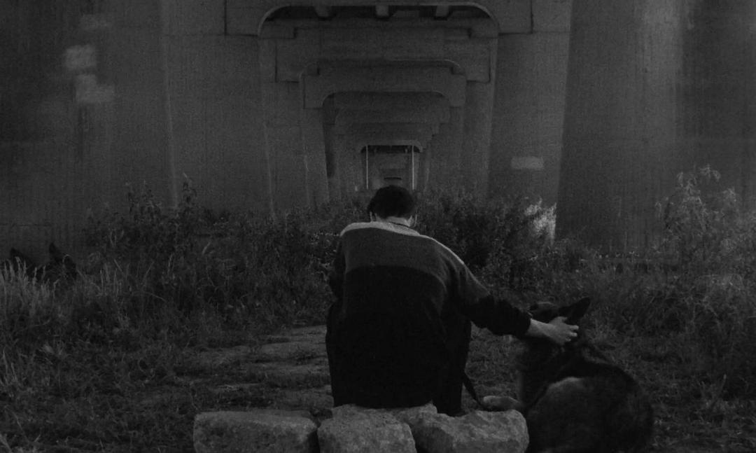 《1985》剧照第8张图片