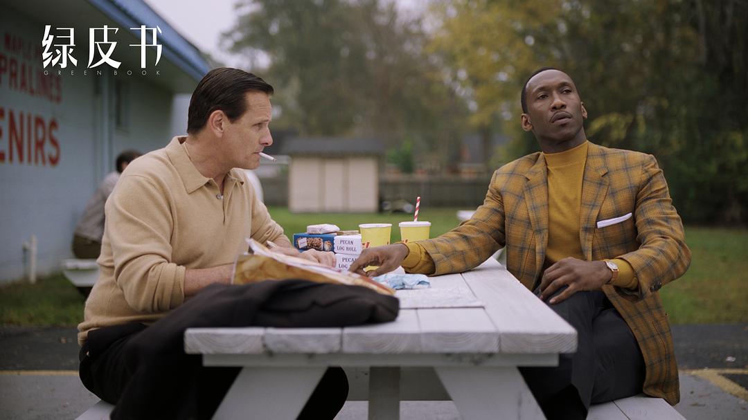 《绿皮书》海报第20张图片