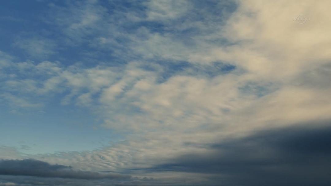 《电影少女~VIDEOGIRLAI2018~特别篇》剧照第13张图片