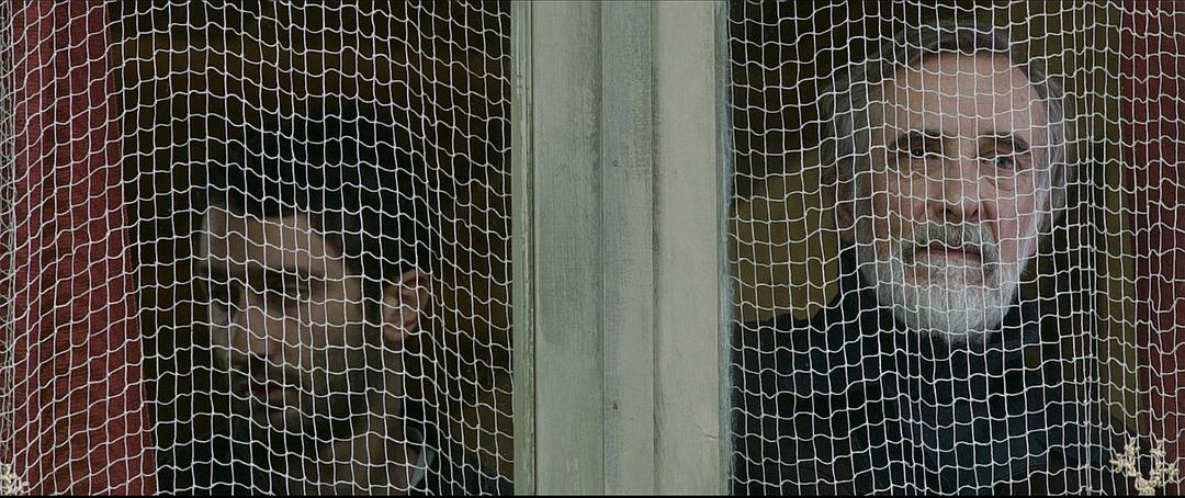 《金橘》海报第25张图片