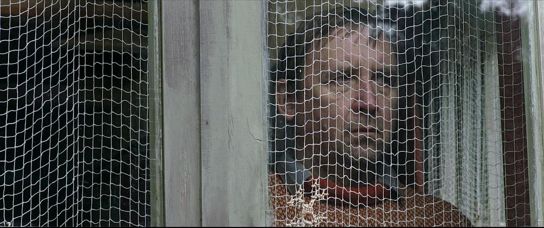 《金橘》海报第24张图片