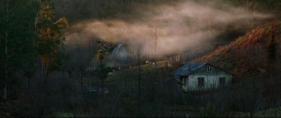 《金橘》海报第19张图片