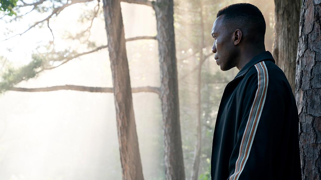 《真探第三季》海报第34张图片