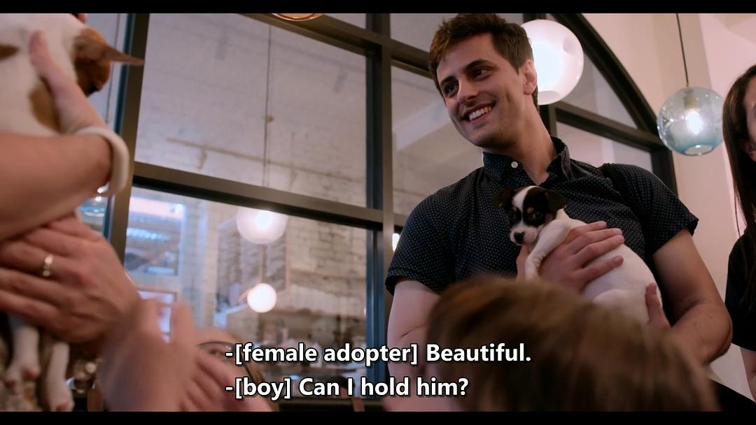 《爱犬情深第一季》剧照第15张图片