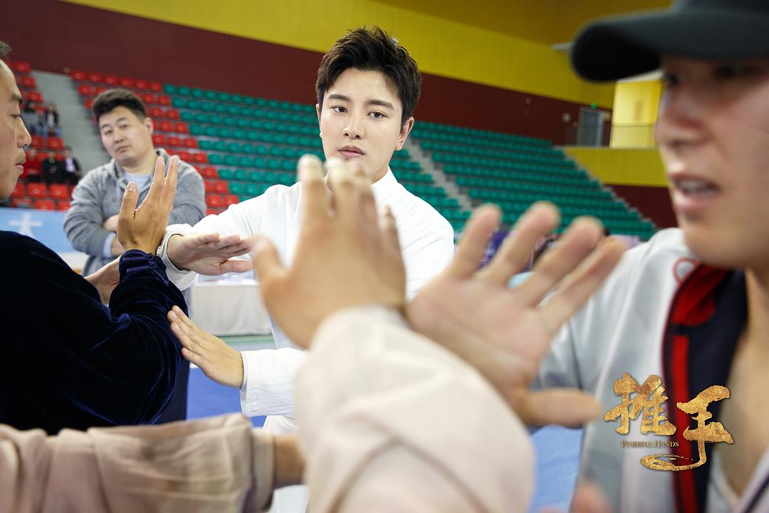 《推手》海报第60张图片