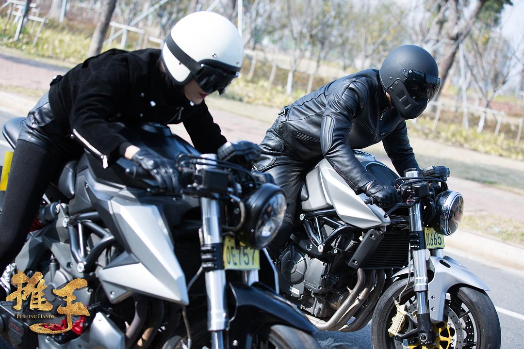 《推手》海报第29张图片