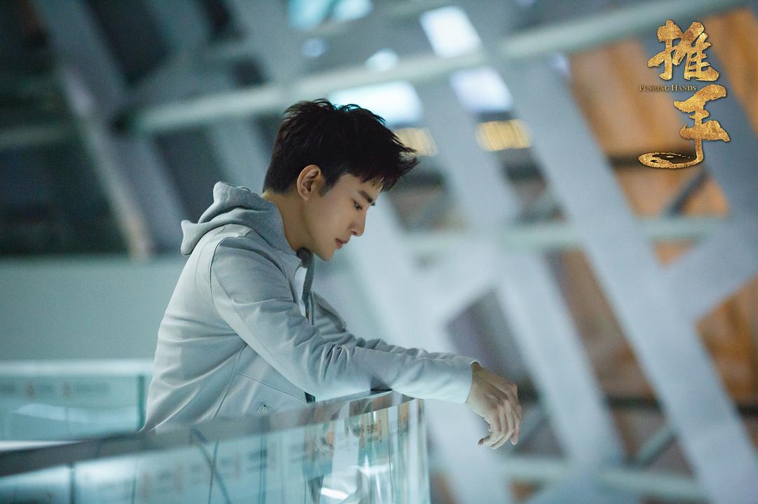 《推手》海报第25张图片