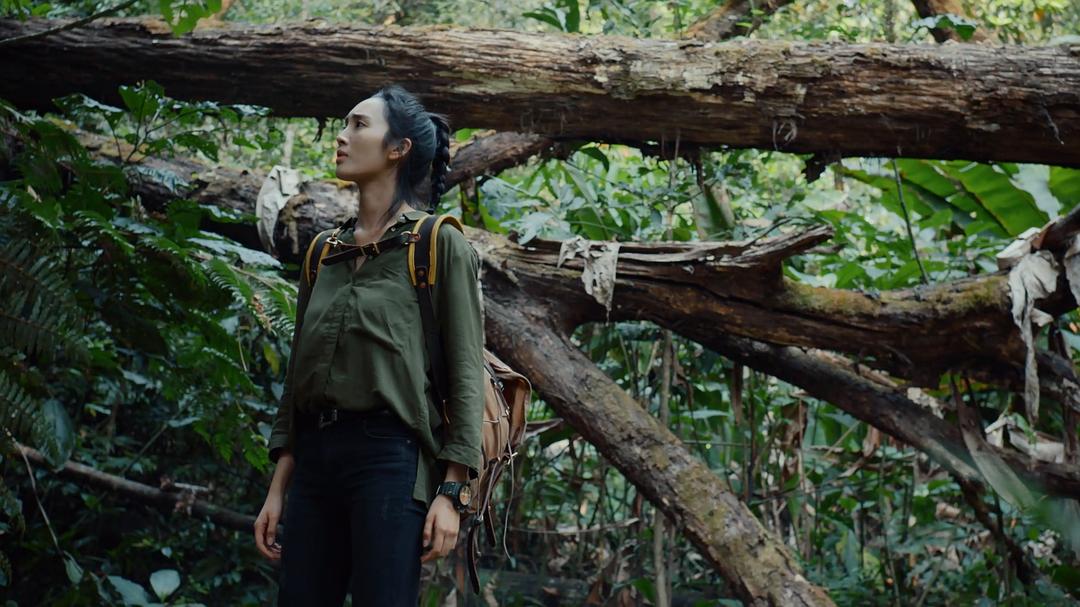 《黄金瞳》海报第53张图片