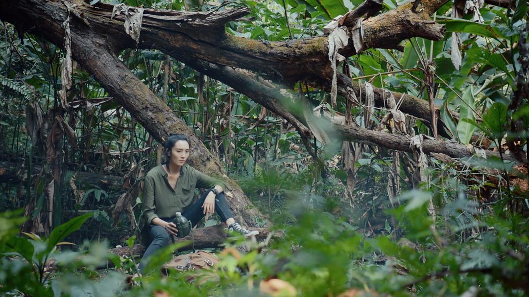 《黄金瞳》海报第52张图片