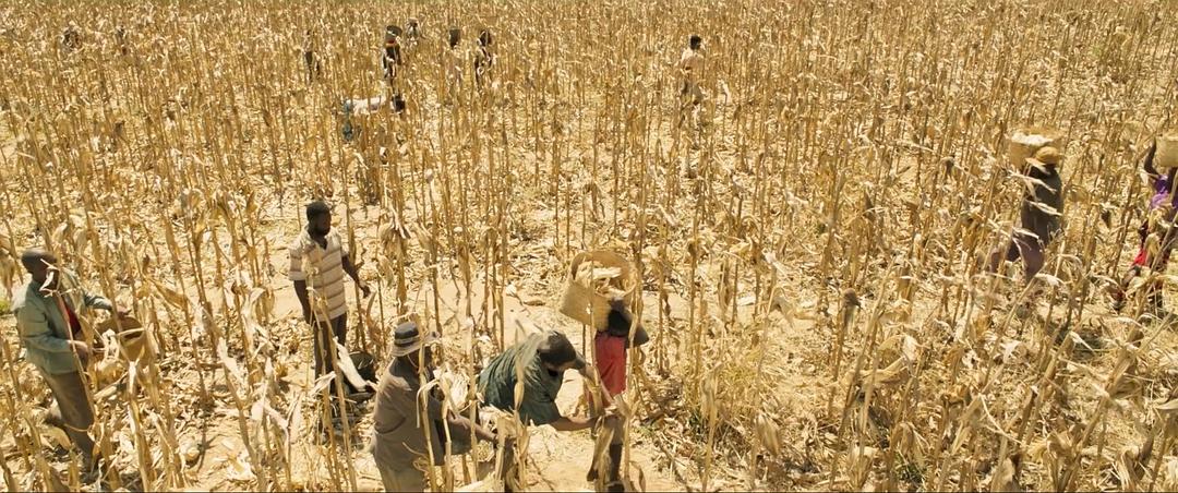 《驭风男孩》海报第26张图片