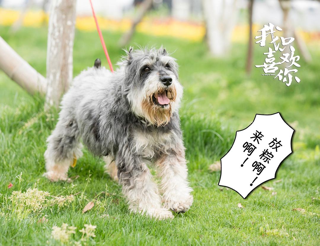 《我只喜欢你》剧照