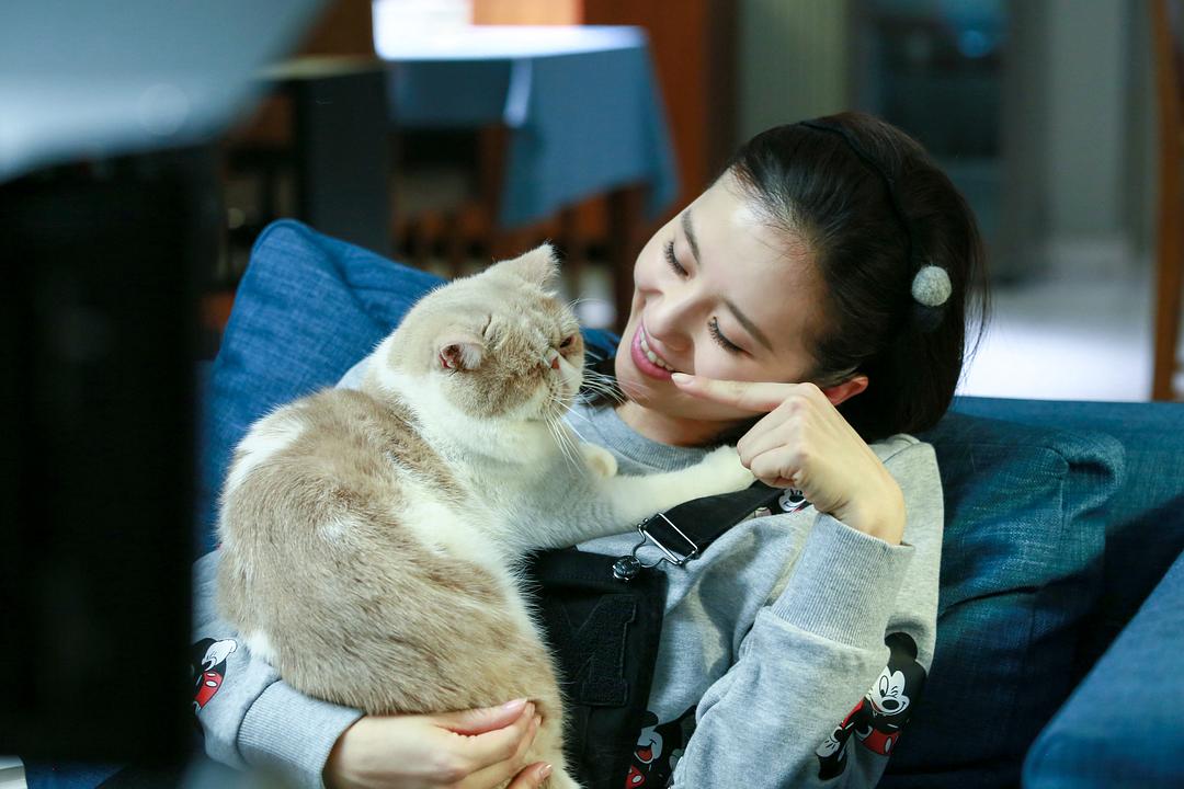 《如果可以这样爱》剧照第36张图片