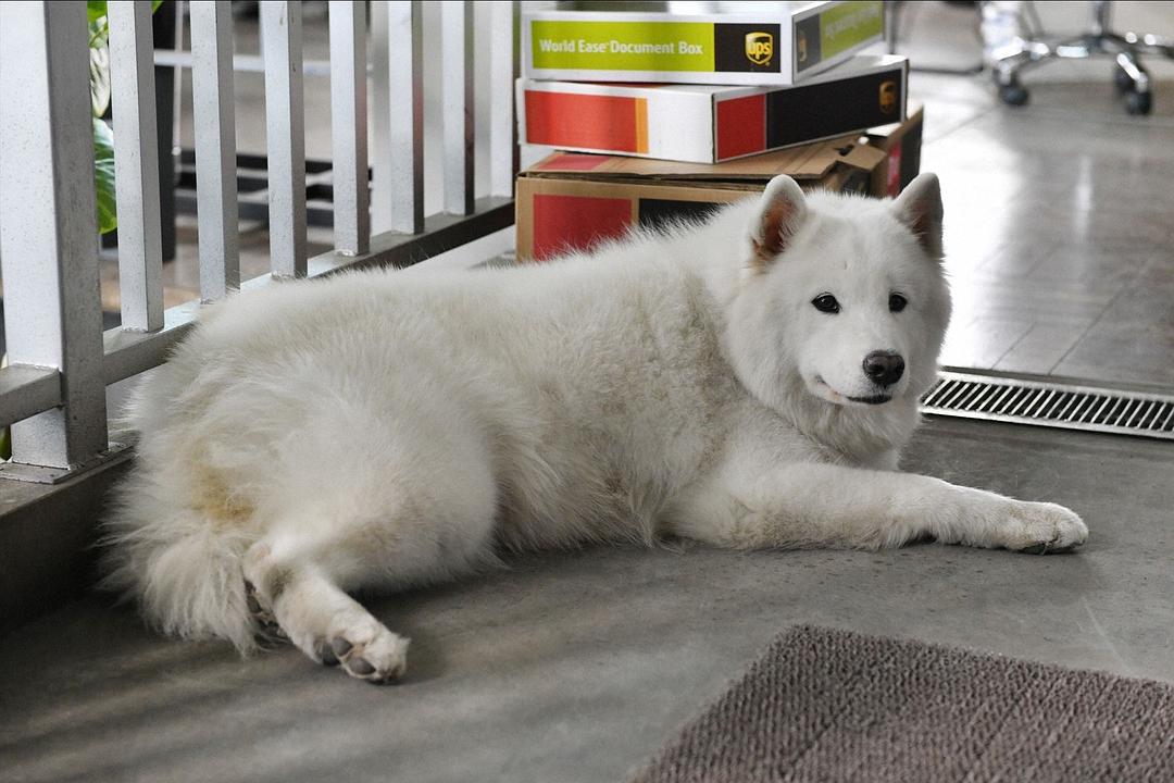 《胜券在握》剧照