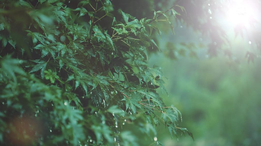 《谋杀启事》剧照第57张图片