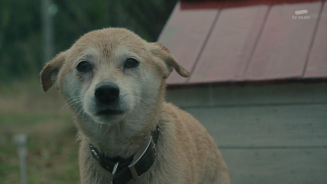 《谋杀启事》剧照第53张图片