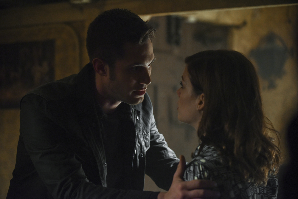 《假\/如》剧照