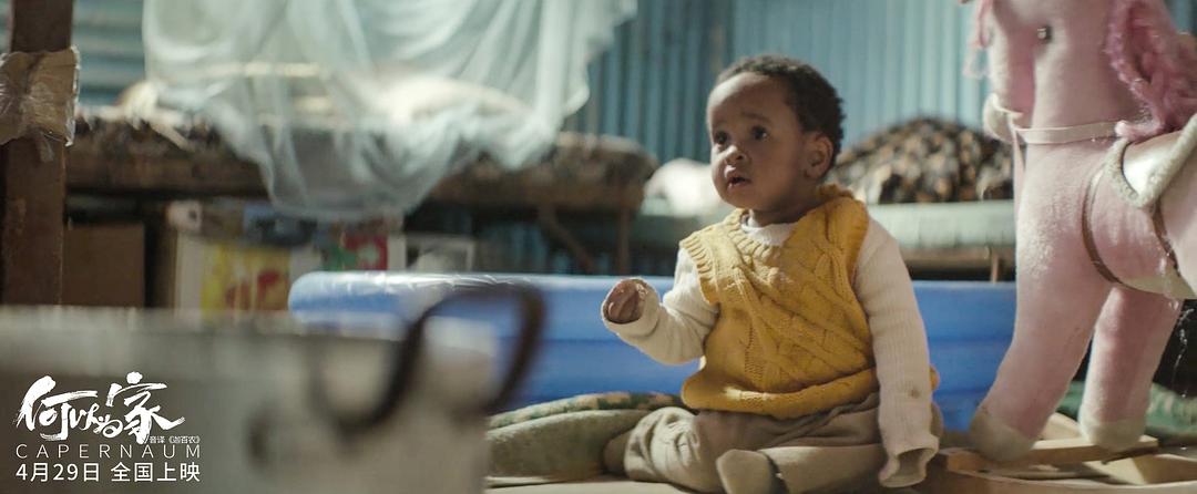 《何以为家》剧照第13张图片