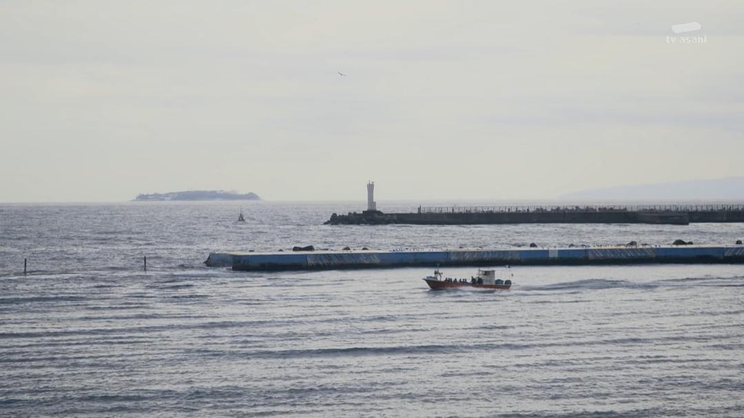 《离婚的二人》剧照第49张图片