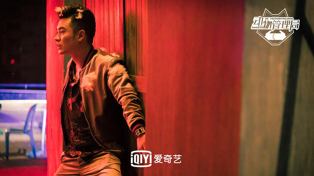 《动物管理局》海报第59张图片