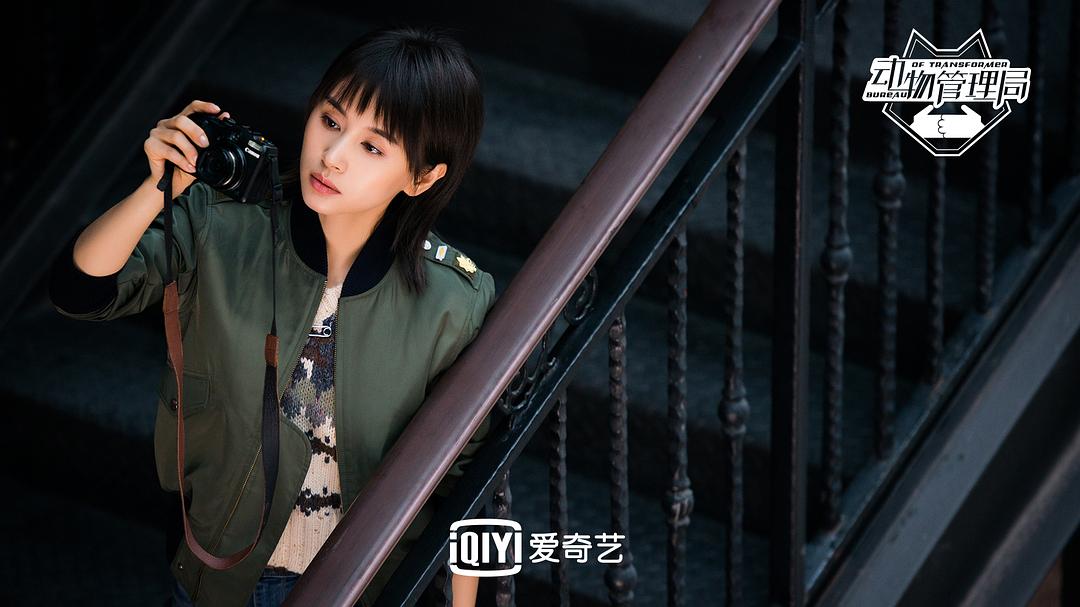 《动物管理局》海报第25张图片