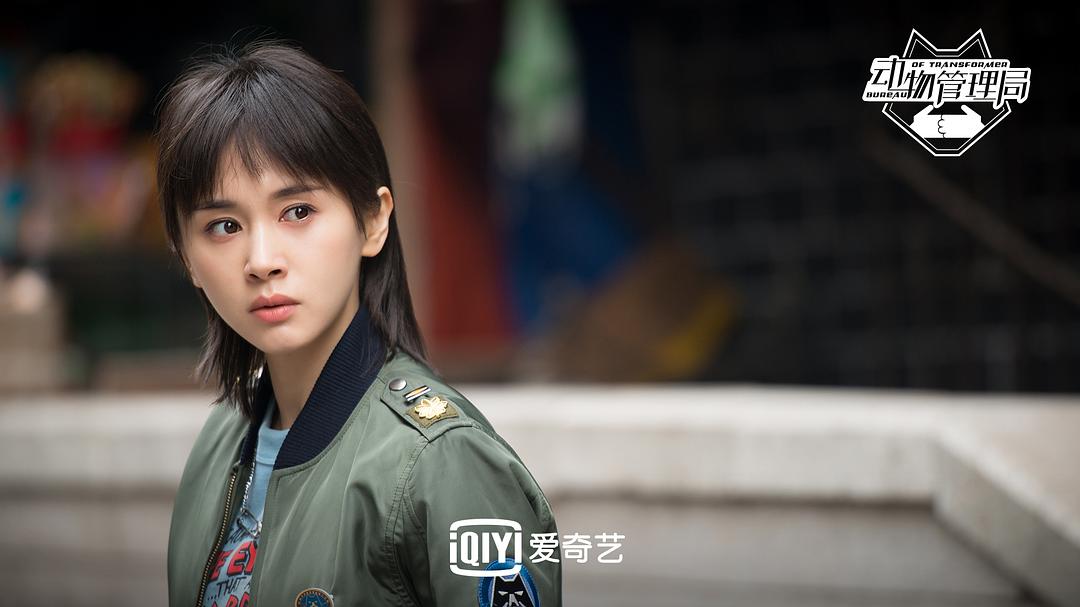 《动物管理局》海报第17张图片