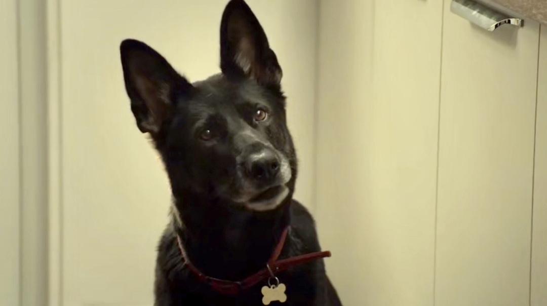 《后半生第一季》剧照第24张图片