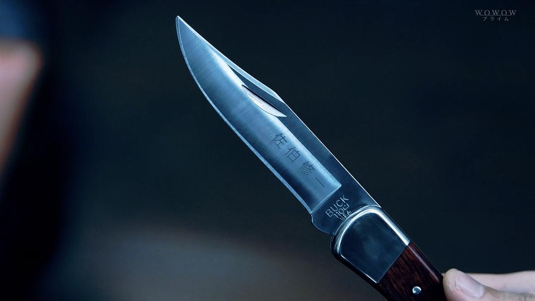 《恶党：犯罪者追踪调查》剧照第12张图片