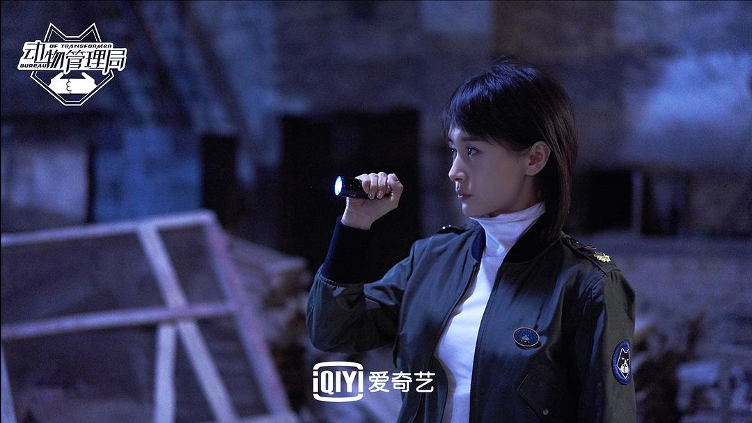 《动物管理局》海报第35张图片