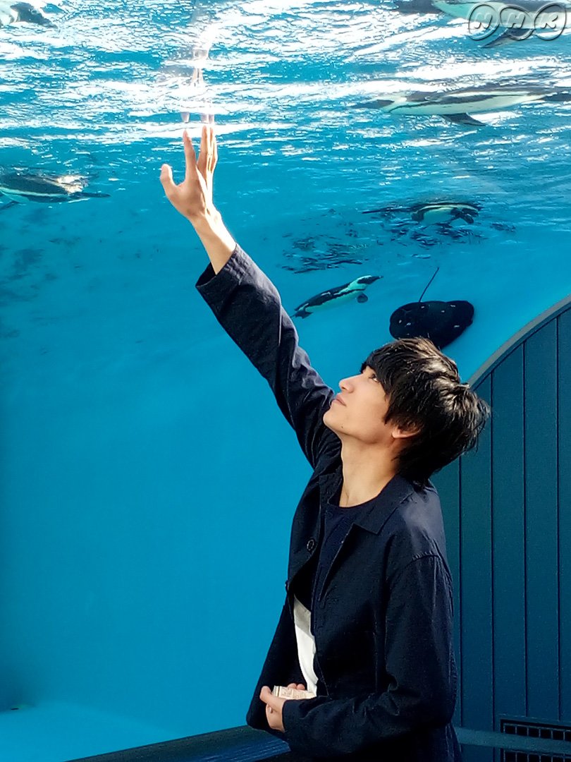 《腐女无意间跟Gay告白》剧照