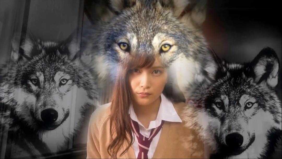 《花予野兽第一季》剧照第55张图片