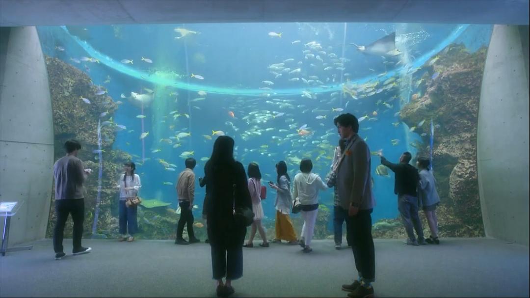 《花予野兽第一季》剧照第48张图片