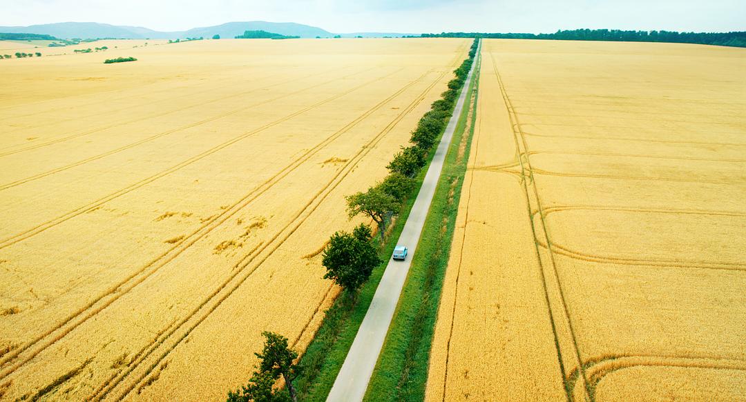 《契克》海报第2张图片