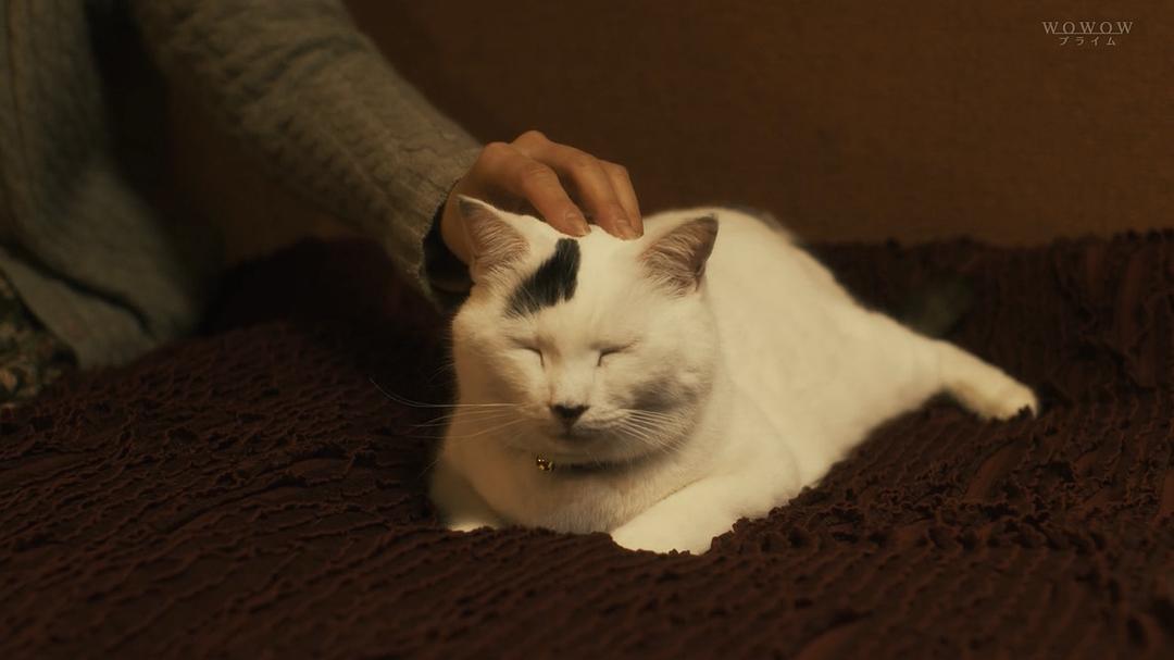 《恶毒女儿·圣洁母亲》海报第49张图片