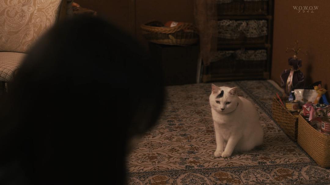 《恶毒女儿·圣洁母亲》海报第39张图片