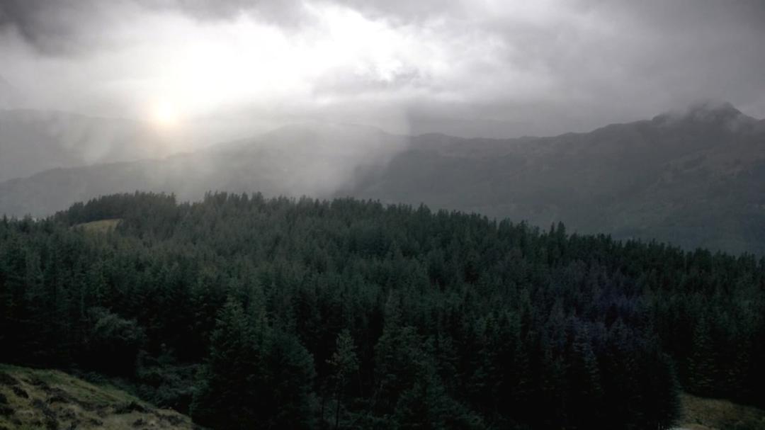 《猎鹿惊魂》剧照第36张图片