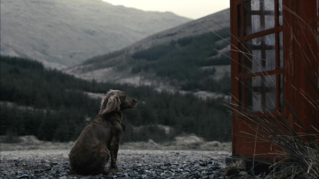 《猎鹿惊魂》剧照第27张图片