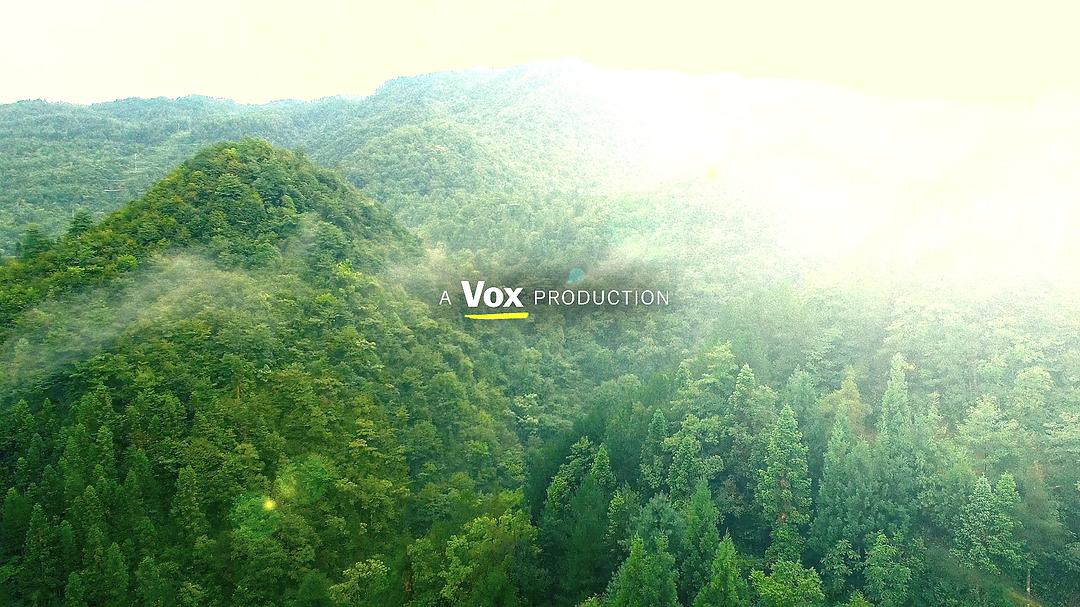 《头脑解密》剧照