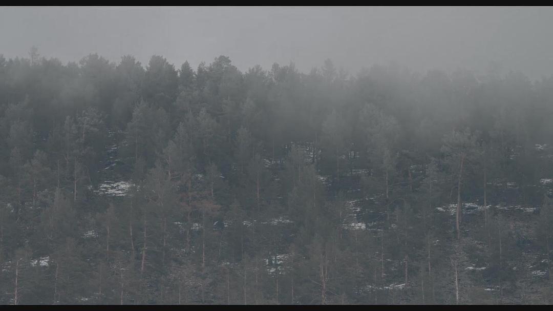 《在西伯利亚森林中》剧照第42张图片