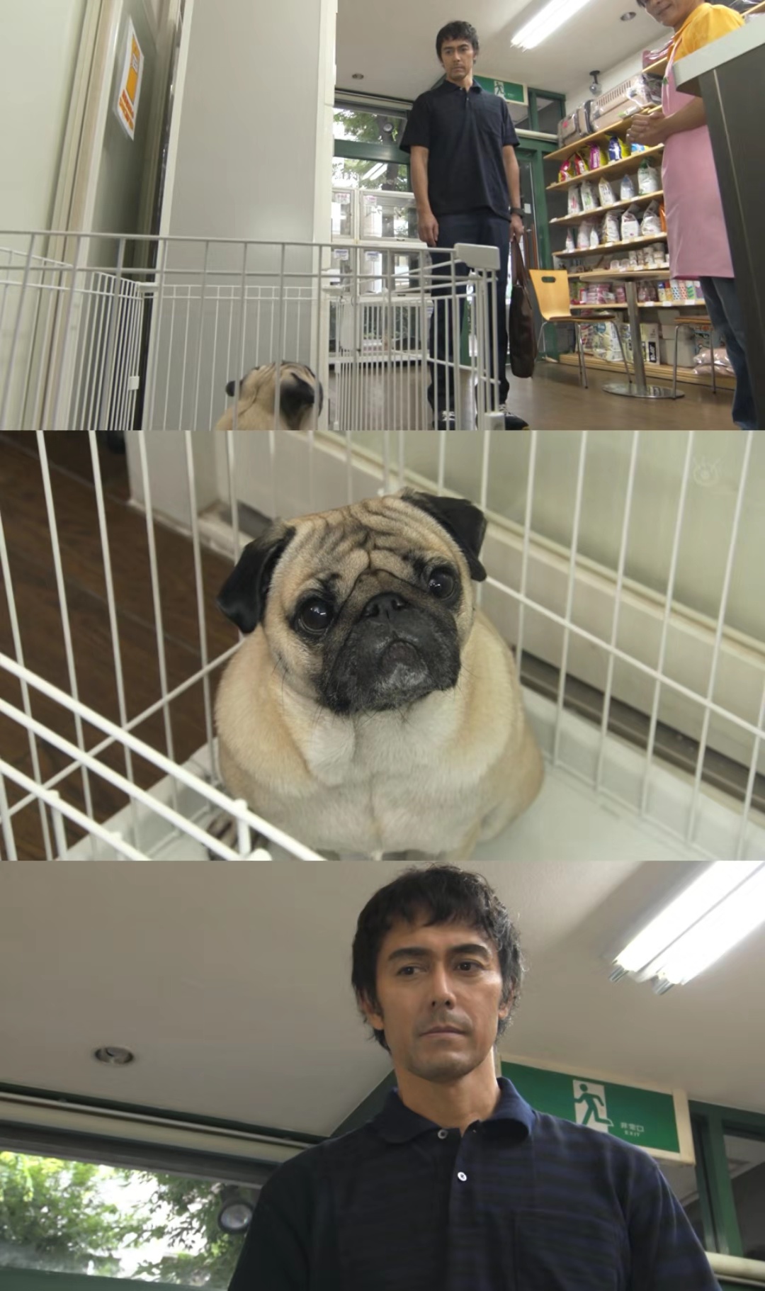 确认过眼神，遇上了对...