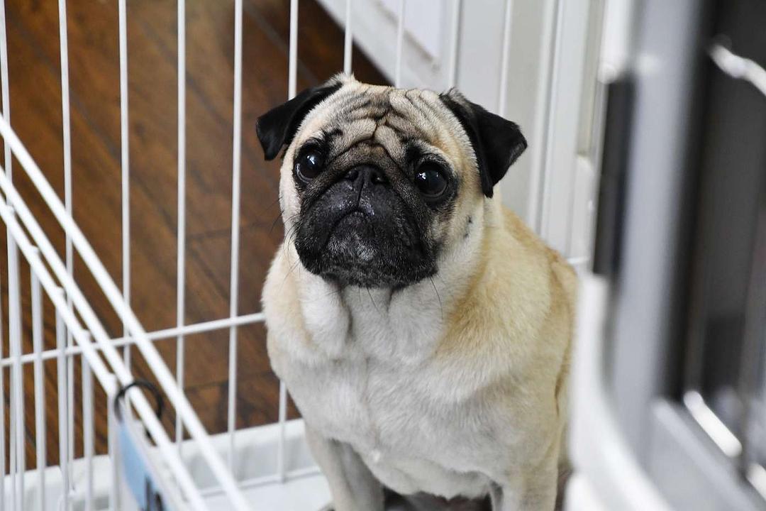 《还是不能结婚的男人》剧照